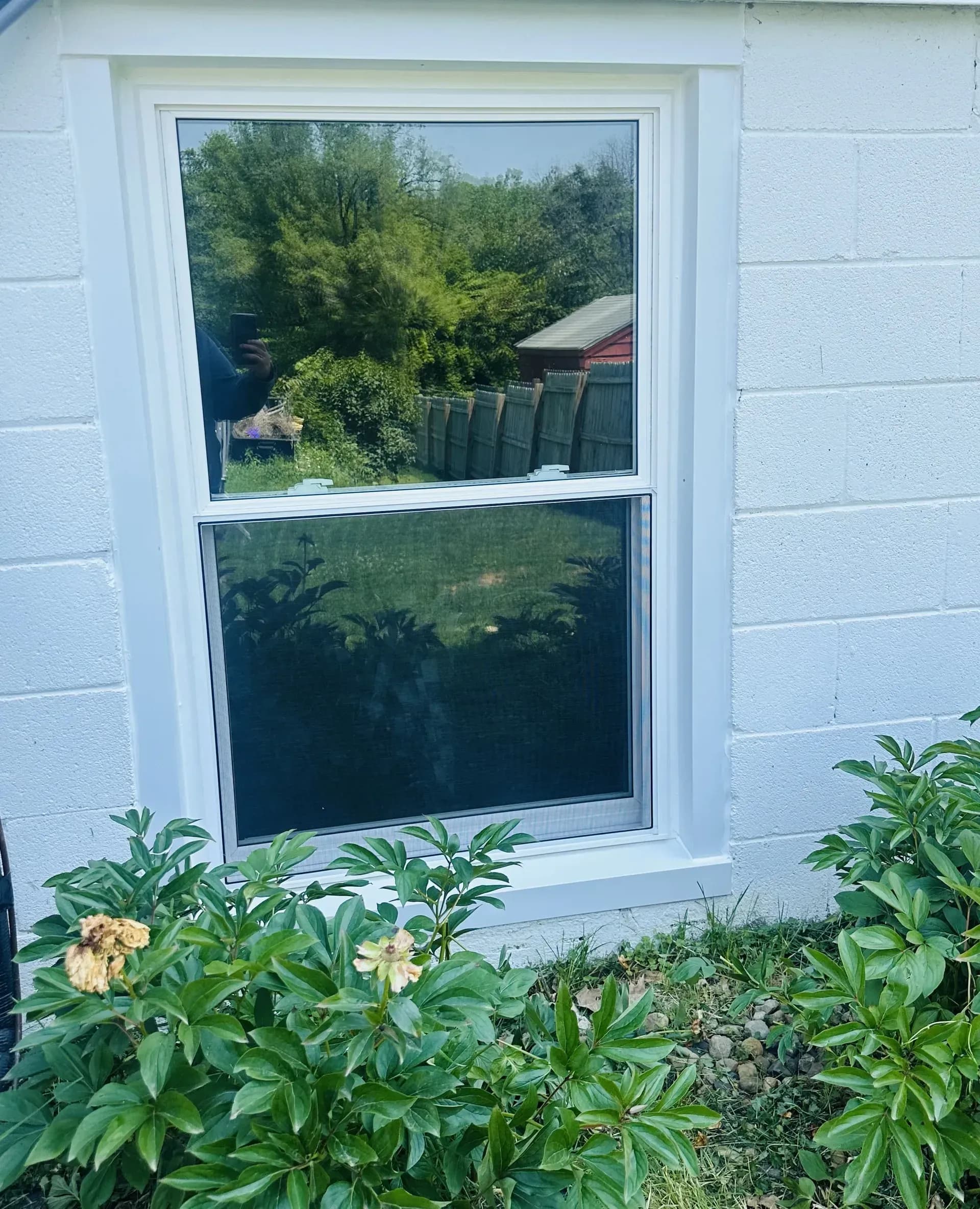 single window